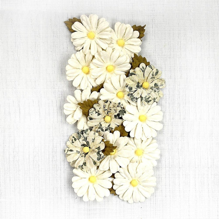 Pack of 3 - Valerie Paper Flowers 14/Pkg-Moon Light